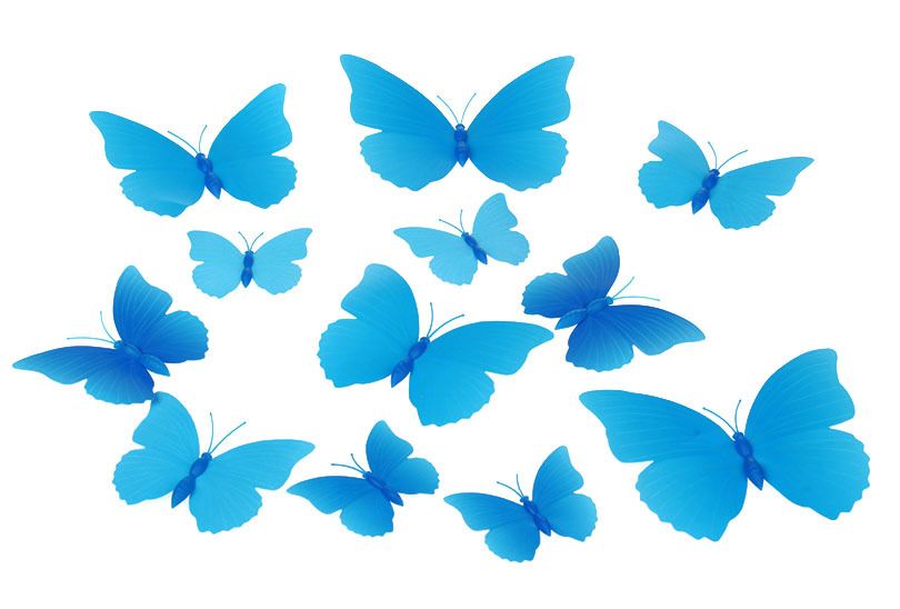 Vlinders 3D Blauw