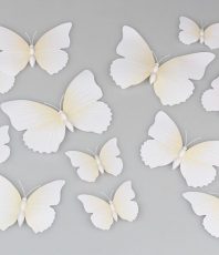 Vlinders 3D Wit