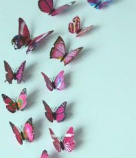 Kleurrijke 3D Vlinders Roze