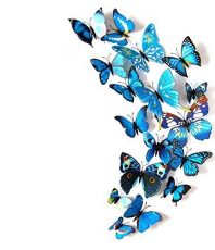 Kleurrijke Vlinders 3D Blauw